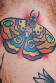 男性腿部彩色飞蛾纹身图片