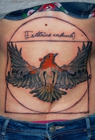 腹部插画风格各种几何图形和字母鸟纹身图案