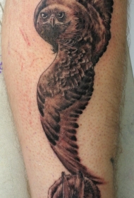 腿部棕色逼真的兔和猫头鹰纹身图片