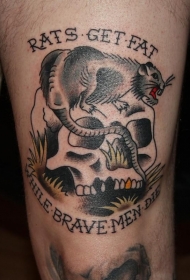 老学校的风格色彩的骷髅与老鼠纹身