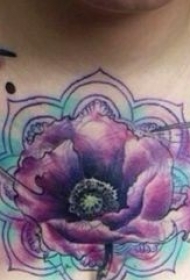 水彩画的蜂鸟盘与花朵胸部纹身图案