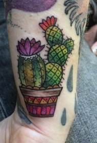 手腕老派风格的彩色仙人掌纹身图片