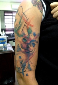 手臂有趣的三只猫纹身图案