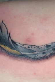 卷曲的彩色羽毛与阴影纹身图案