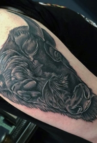 肩部逼真的黑色大公牛头纹身图案