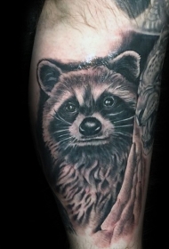 腿部插画风格棕色浣熊纹身图案