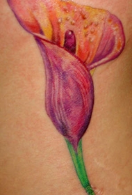 肩部彩色红色马蹄莲纹身图案