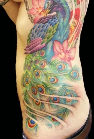 侧肋壮观的插画风格孔雀花朵纹身图案