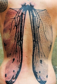 背部自然的黑色精致昆虫翅膀纹身图案