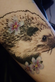 手臂写实的灰色刺猬与白色花朵纹身图案