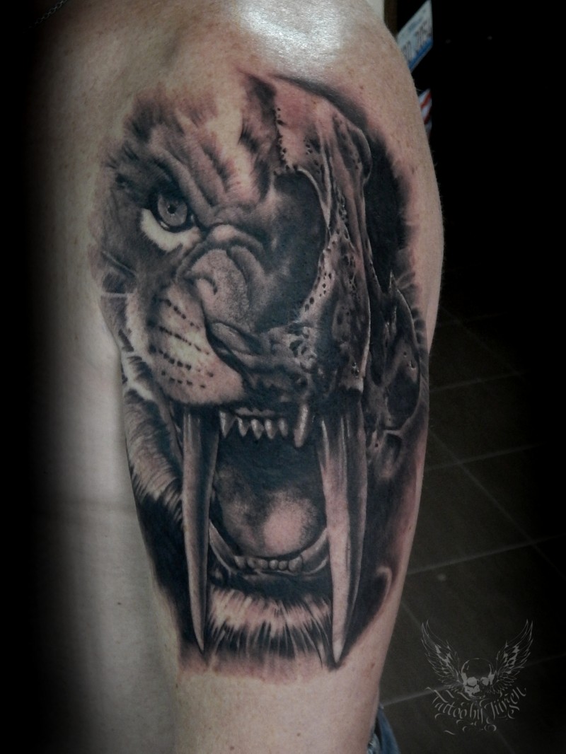 大臂写实风格半猫半骷髅纹身图案
