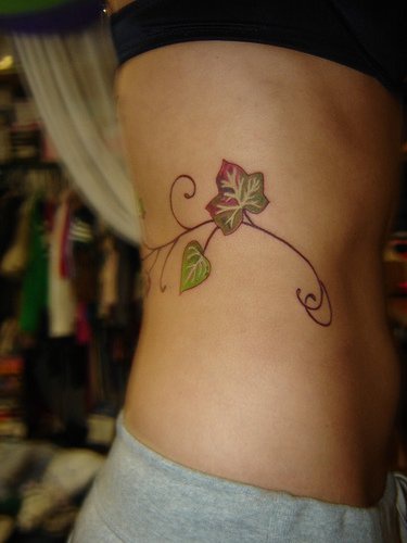 腰部彩色小攀援植物纹身图案