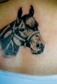 女性背部简约马头纹身图案