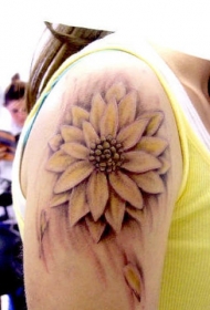 女性肩部温柔的荷花纹身图案