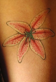 女性手臂彩色百合的纹身图案