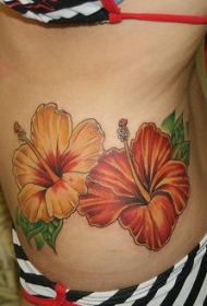 对比彩色两朵木槿花纹身图片