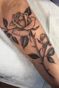 手臂灰色嫩玫瑰花纹身图案