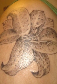 好看的黑灰百合花纹身图案