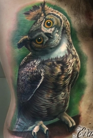侧肋彩色逼真猫头鹰纹身图案