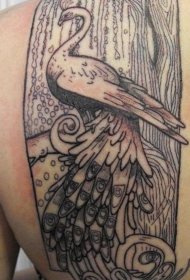背部线条优雅的黑白孔雀纹身图案