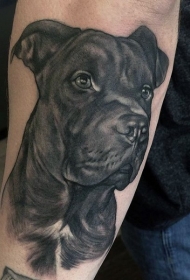手臂可爱的手黑白狗头像纹身图案