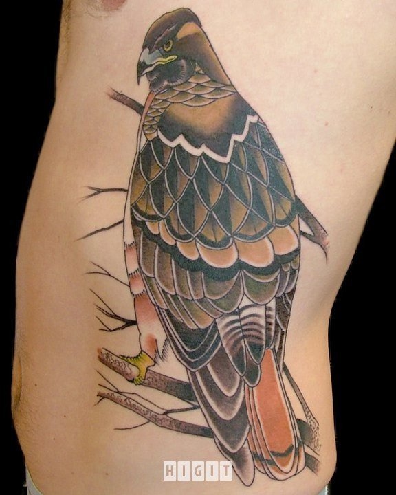 侧肋new school彩色的鹰纹身图案