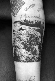 手臂new school黑色狮子字母纹身图案