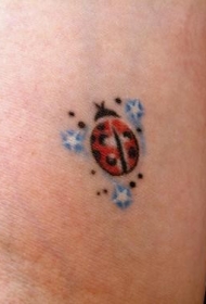 瓢虫和三个蓝色的星星纹身图案
