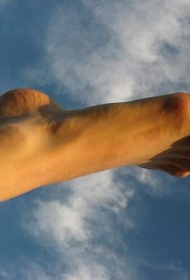 脚部彩色简单的瓢虫纹身图案