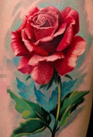 芳香四溢的彩绘植物素材简单线条花朵纹身图案