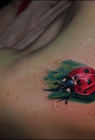 肩部彩色超现实逼真的瓢虫纹身