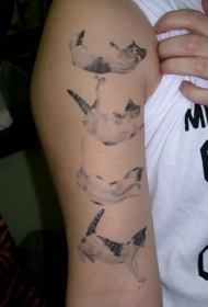 手臂不同造型的猫纹身图案