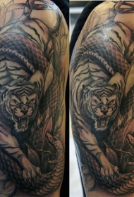 黑灰风格老虎和蛇战斗纹身图案