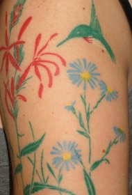 肩部水彩画风格的蜂鸟纹身图片