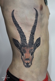 腰侧彩色大山羊头角纹身图案