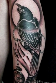 手臂old school棕色乌鸦与纹身图案