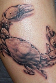 腿部棕色墨水现实蟹纹身图案