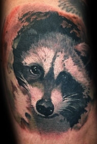 插画风格彩色可爱的浣熊纹身图案