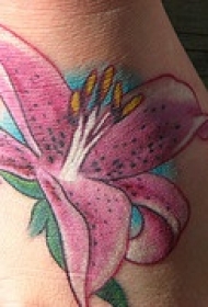 脚背彩色粉红百合花纹身图案