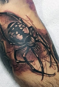 新学校插画风格棕色大蜘蛛纹身图片