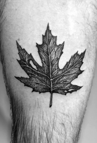 腿部非常逼真的黑色枫叶纹身图案