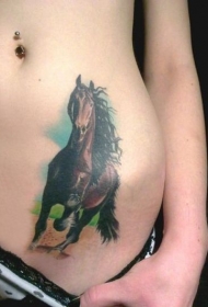 腹部彩色奔腾的马纹身图案