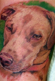 可爱的狗和绿色背景纹身图案