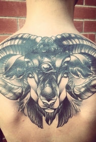 背部黑白幻想山羊头部纹身图案