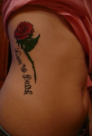 侧肋英文字母与美丽的玫瑰纹身图案