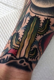 老派风格的彩色手腕仙人掌纹身图案