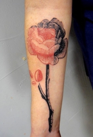 手臂半彩色的美丽花卉纹身图案