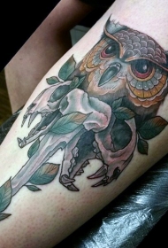 腿部new school彩色猫头鹰与猫骷髅纹身图案