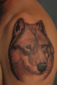 肩部棕色保鲁夫狼头纹身图案
