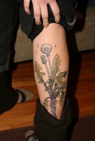 小腿美丽的植物蒲公英纹身图案